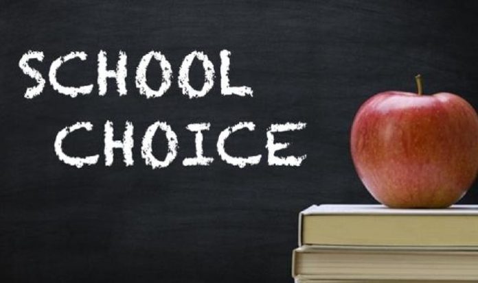 School Choice Image 696×413