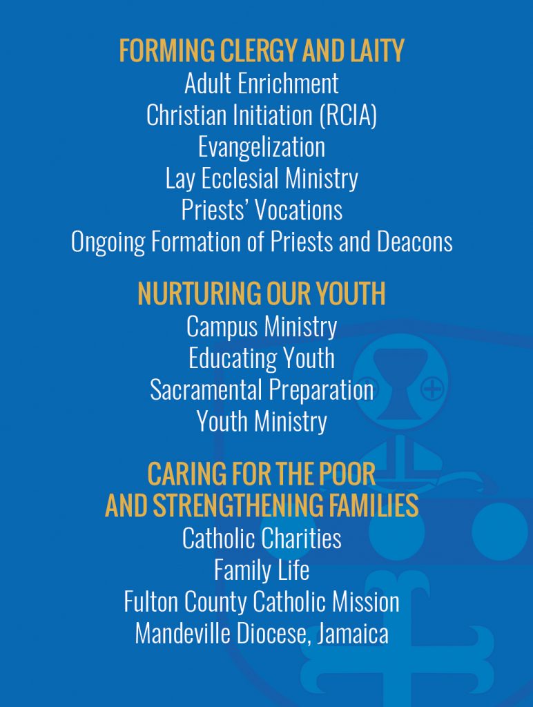 2018 catholic ministries drive