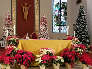Listing Saint Elizabeth Ann Seton Listing Saint Elizabeth Ann Seton